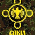 avatar for