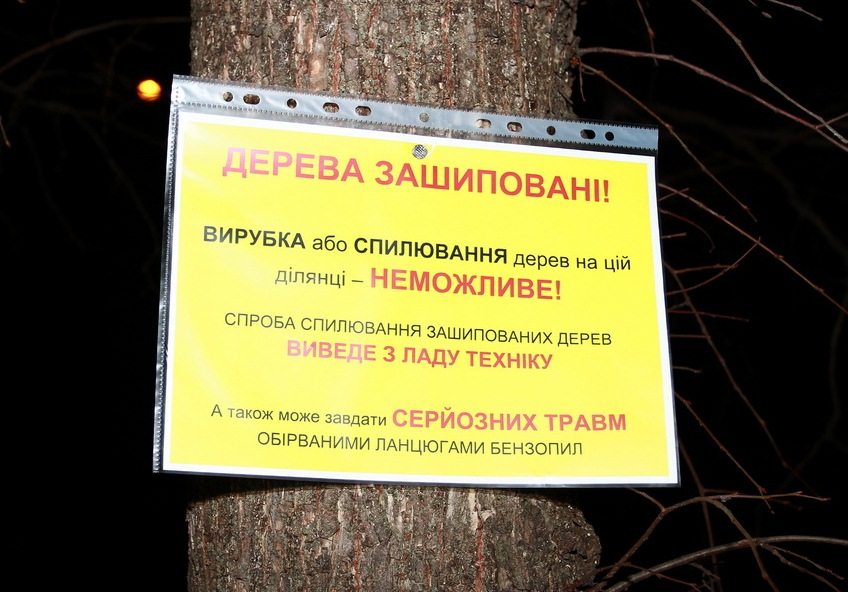Жителі багатоповерхівки на Черняховського „зашипували” дерева, на місці яких влада хоче зробити автопарковку