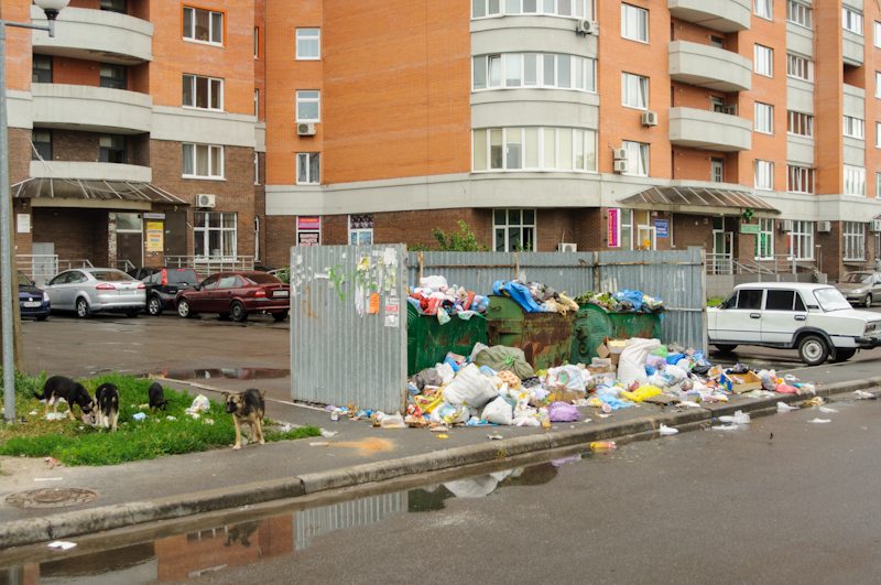 Виконком визначив, як часто у Броварах мають вивозити сміття, прибирати двори та мити під'їзди cover image