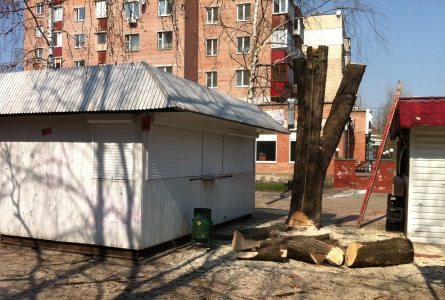 Біля гастроному «Тандем» на місці зрубаних дерев зводять чергову «наливайку»?