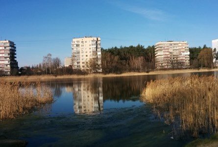 На суботник в «Приозерному» броварчан запрошують на спеціальному сайті cover image