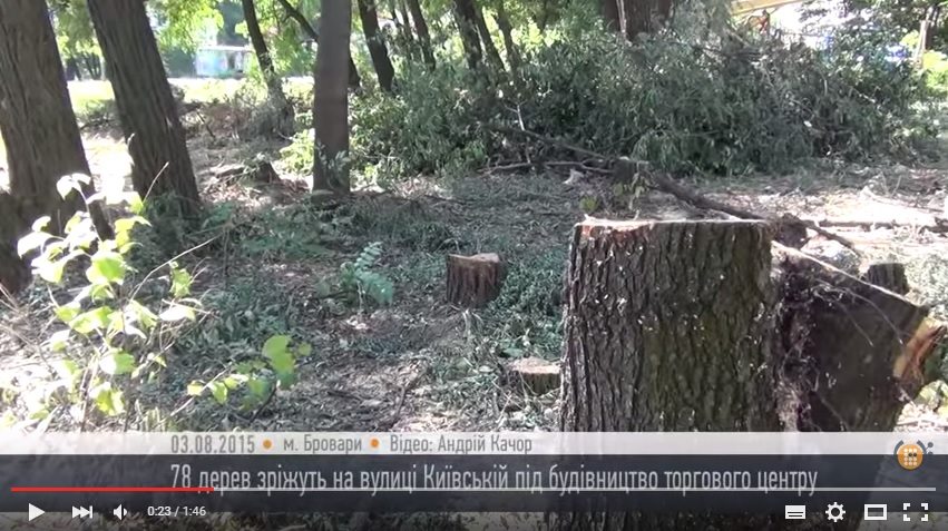 Ще 78 дерев спиляють у Броварах під торговий центр - HromadskeBro.tv