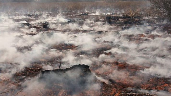 Територія тління торфу на Київщині збільшилася до 122 га, горить і в Броварському районі