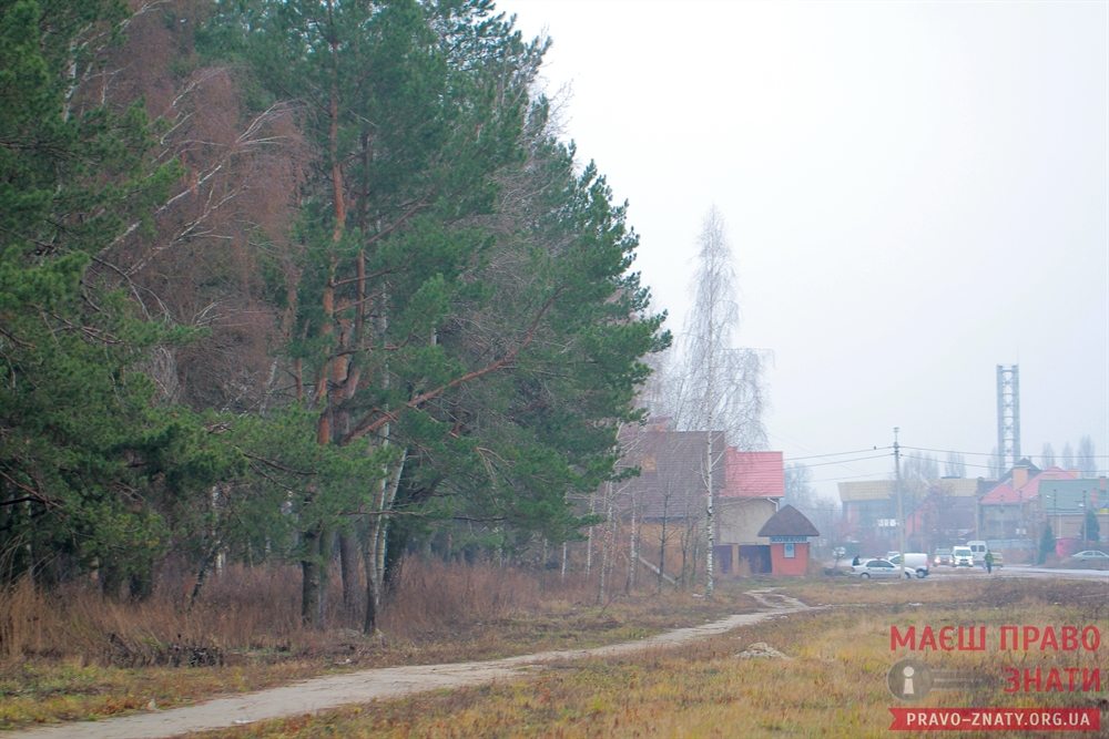 На Симоненка заплановано побудувати 4 будинки - броварчани вимагають залишити там ліс - ФОТО