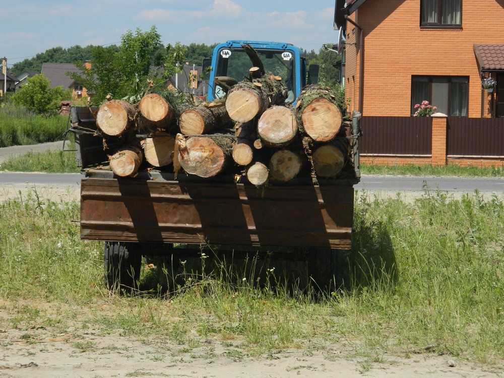 вирубка дерев симоненка серпень (1)