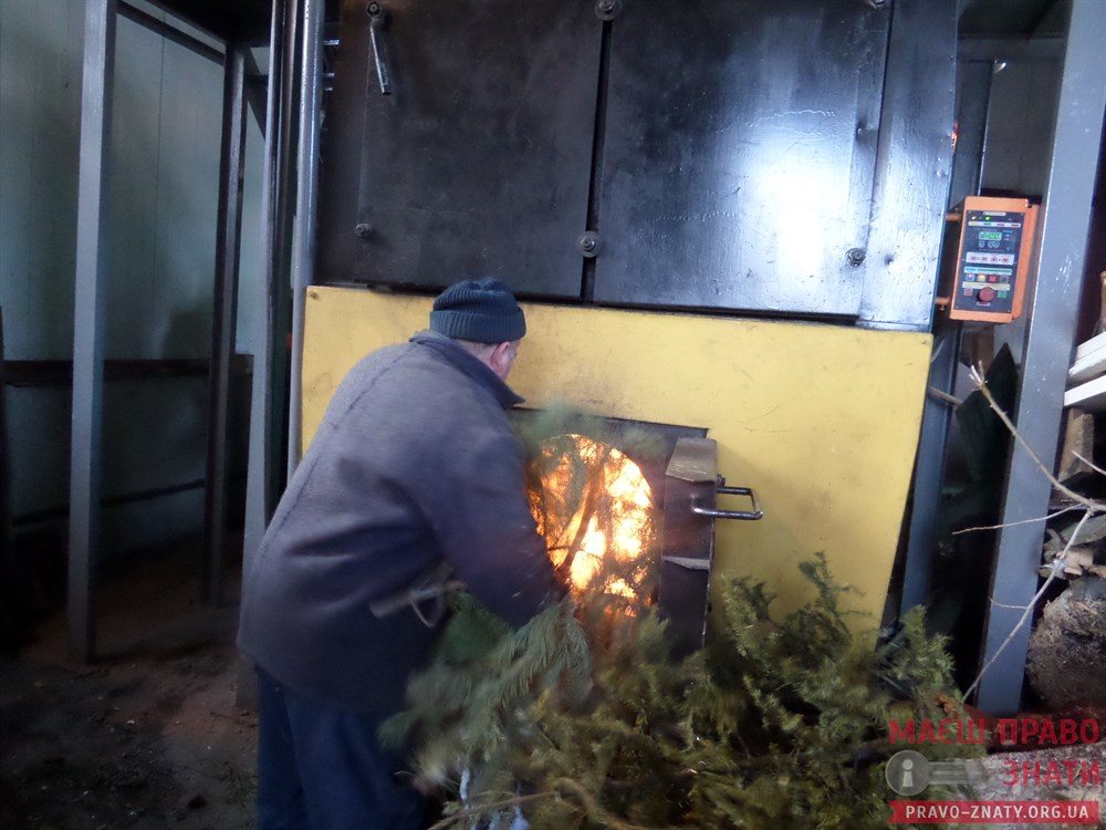 Куди зникають і чим допомагають Броварам ялинки після новорічних свят?