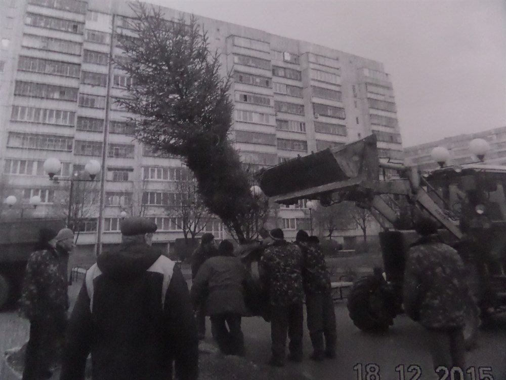 Ялинки