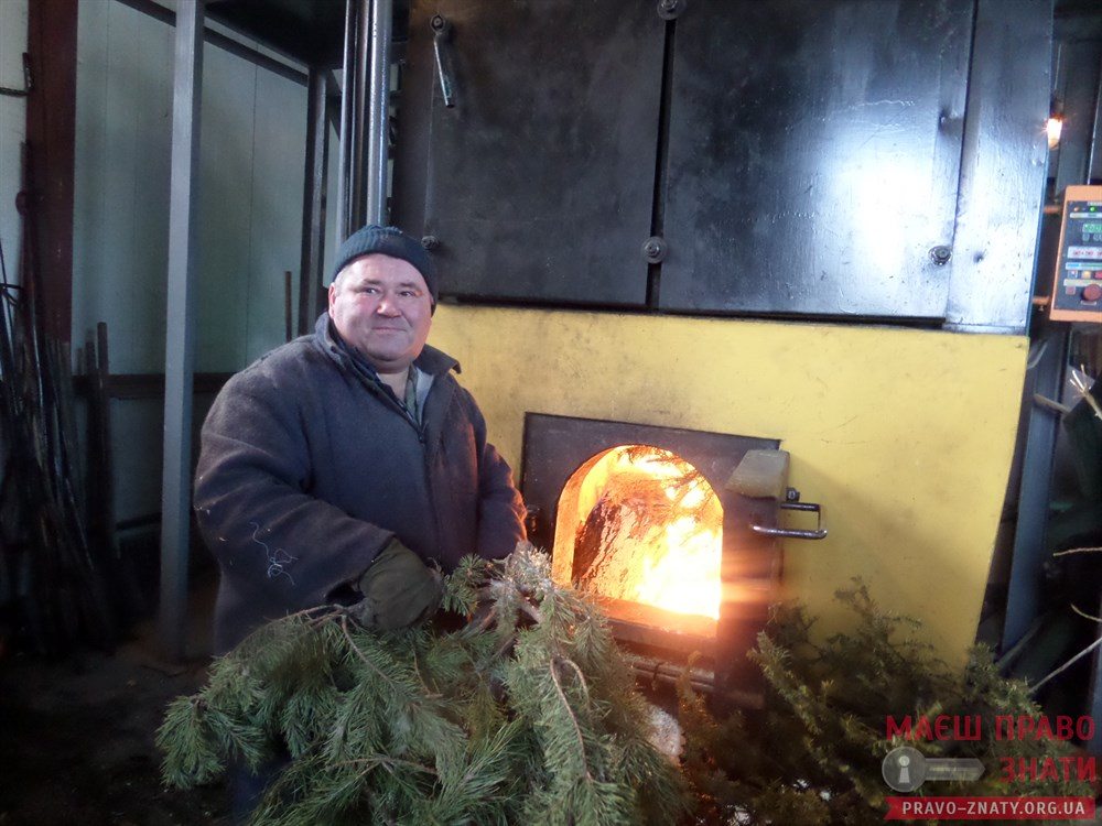 Ялинки