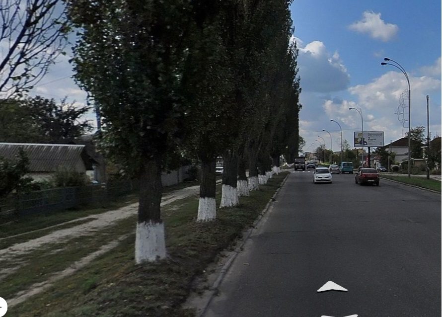 Дерев після реконструкції вул.Київської - не передбачено!