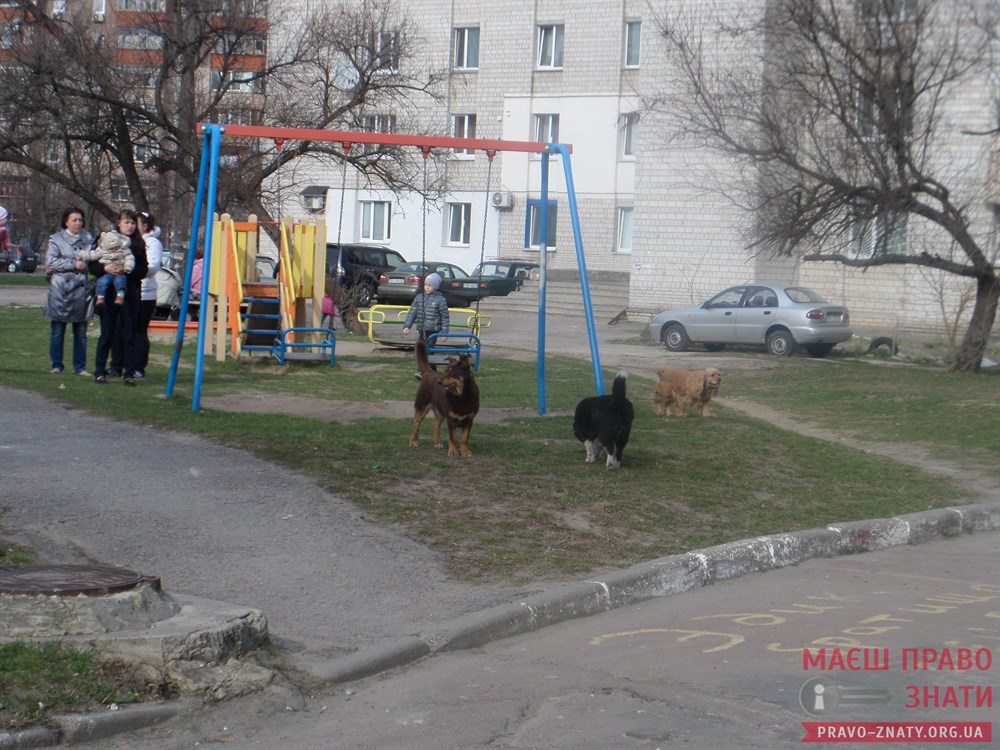 Фонд "Вірне серце"