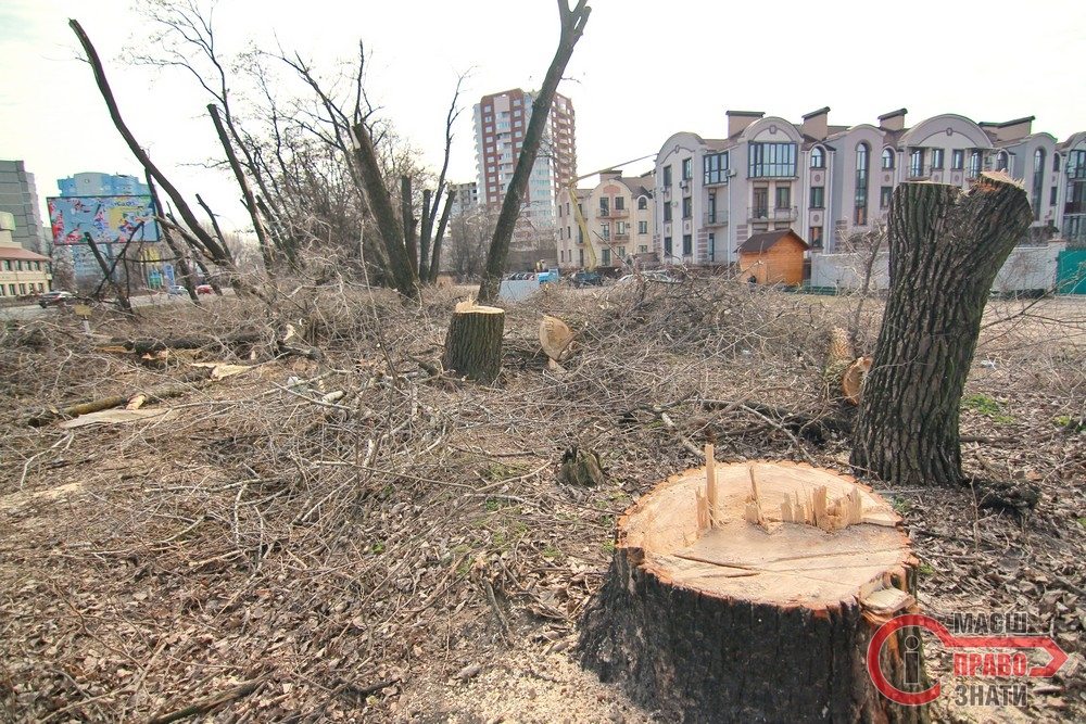У Броварах зрубають ще 17 дерев, посадити обіцяють удвічі більше