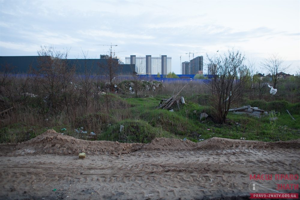 ярославский (26)