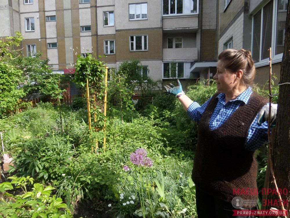 Як жінки-активістки довели до ладу свій будинок: охайний під'їзд та ліфт, квітники навколо cover image