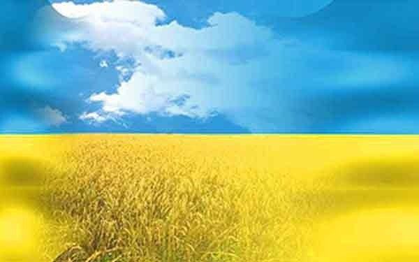 Як виховати патріота: у Броварах спробували обговорити національно-патріотичну програму