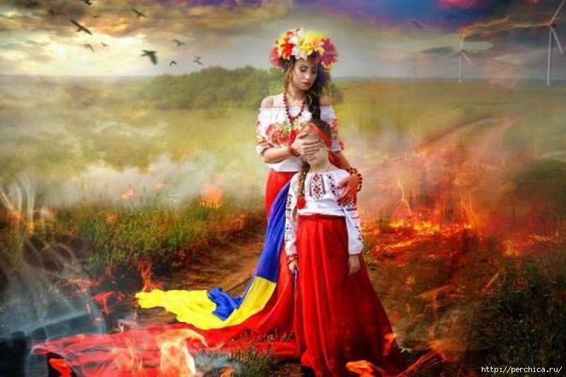 Патріотичне виховання і національна безпека: аналіз змісту проекту Програми та ризиків фінансових зловживань cover image