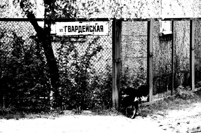Короткометражку про декомунізацію у Броварах покажуть на міжнародному кінофестивалі – ВІДЕО