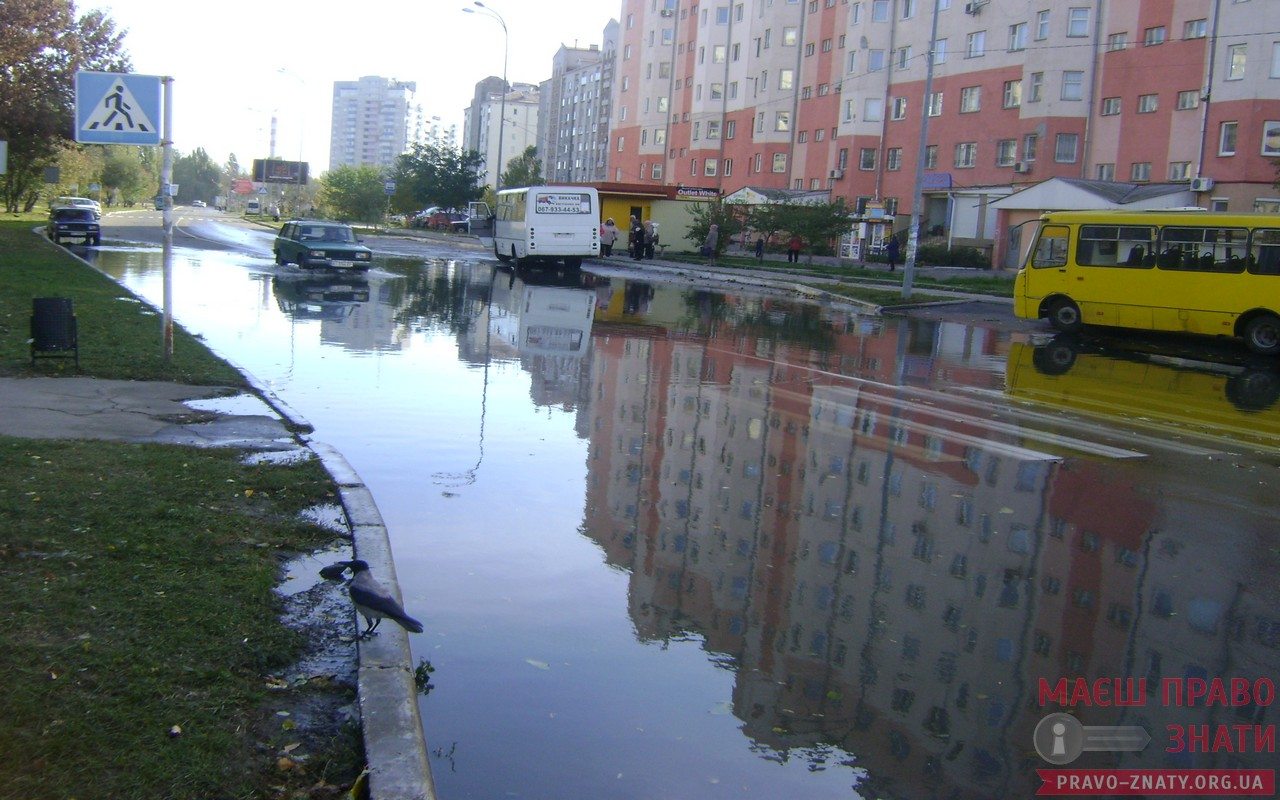 Смердючі каналізаційні стоки знову заводнили вулицю Грушевського – ФОТО cover image