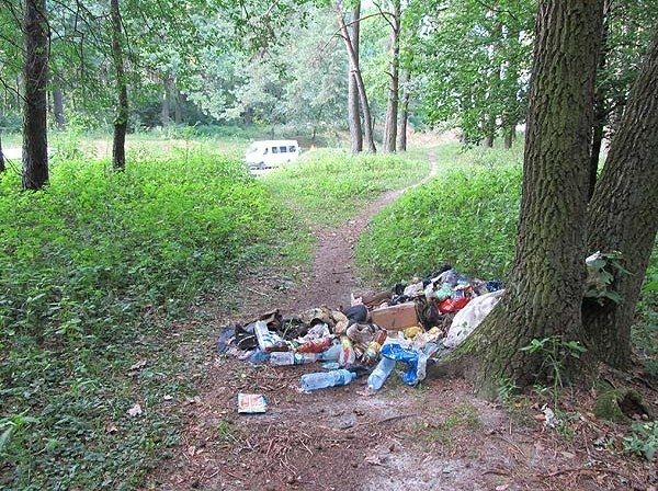 АНОНС: 1 квітня броварський біговий клуб організовує громадське прибирання