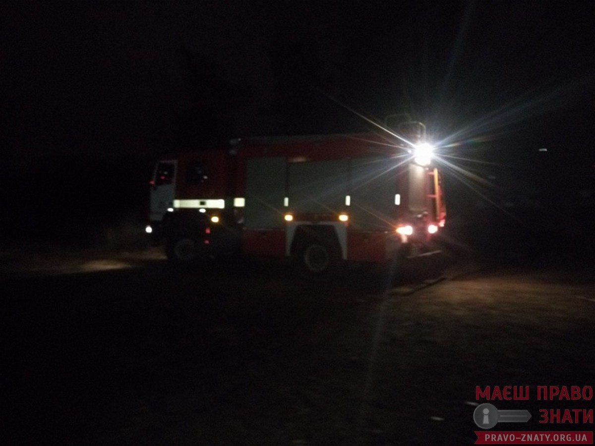 Сьогодні в Броварах горіло в лісі по вул. Соборній