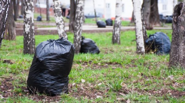 Броварська влада оголосила двомісячник благоустрою
