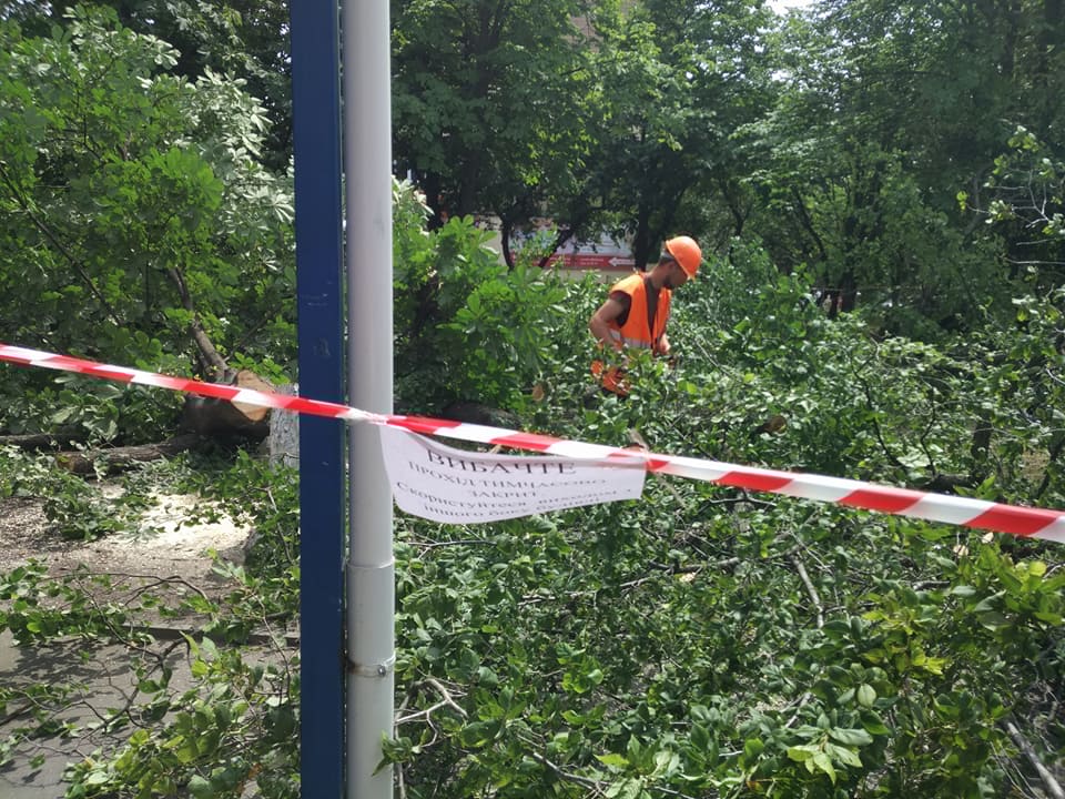 АНОНС: Проти забудови біля 7-ї школи в понеділок вийдуть на протест
