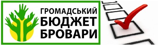 Розпочато голосування за "Громадський бюджет-2017"